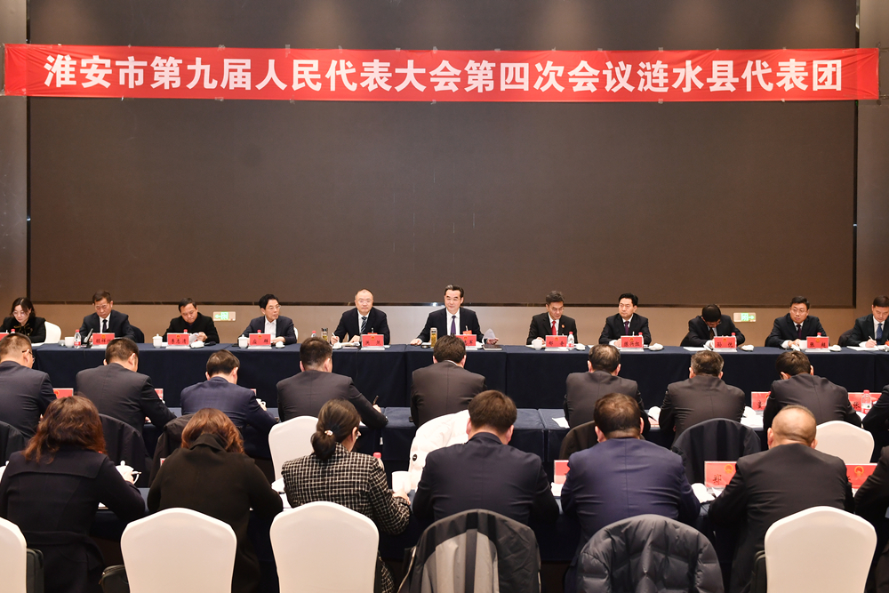 史志军参加太阳城集团官方直营代表团审议