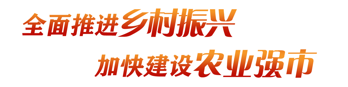 太阳城集团官方直营