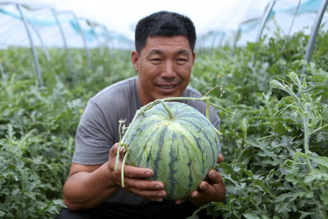 太阳城集团官方直营