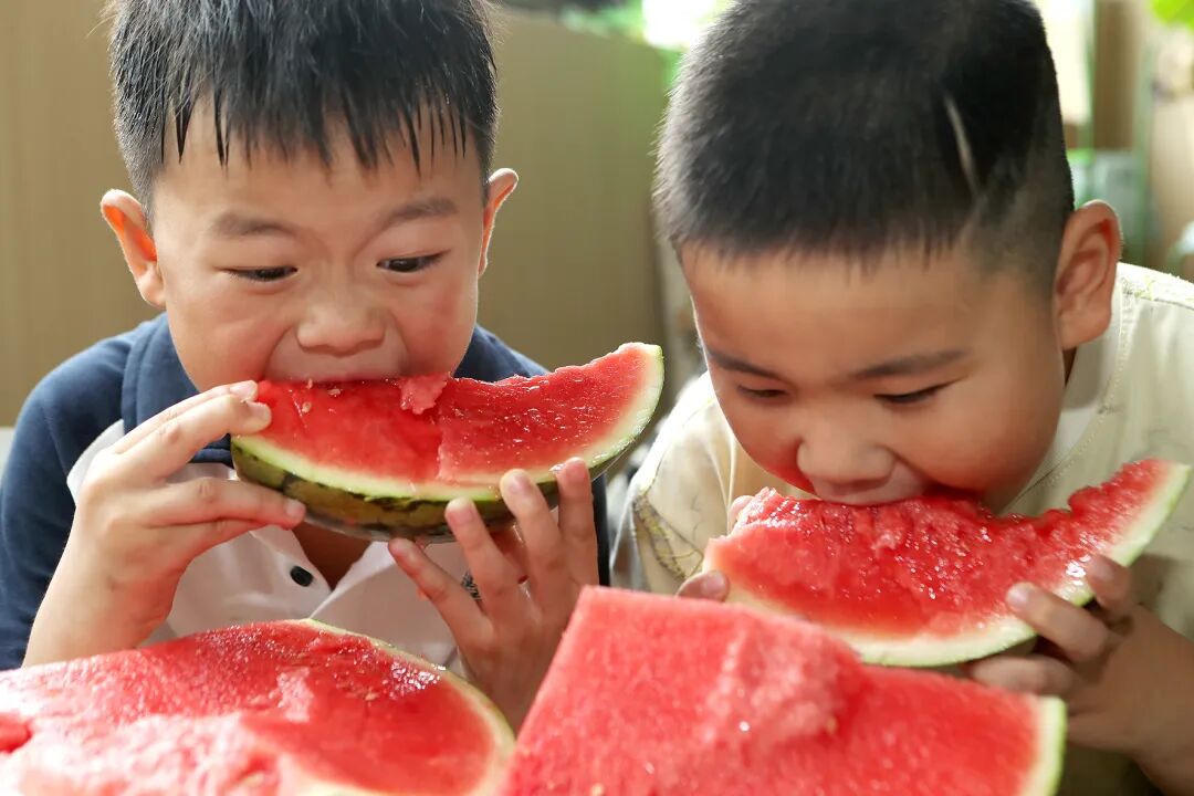 太阳城集团官方直营